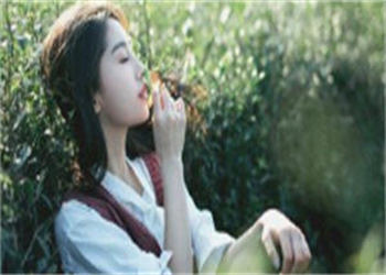 沈书妤陆霁风最新章节,沈书妤陆霁风小说,免费阅读