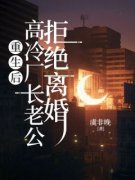 独家重生后，高冷厂长老公拒绝离婚小说-主角沈南栀顾景行全文免费阅读