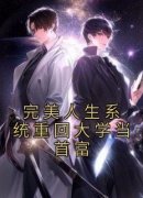 江诚钟曦儿小说大结局在哪看-完美人生系统重回大学当首富完整版免费阅读