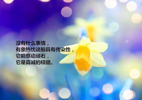 影帝爸爸，你女儿从农村来找你了小说免费阅读_聂扶摇封战热门小说全文阅读