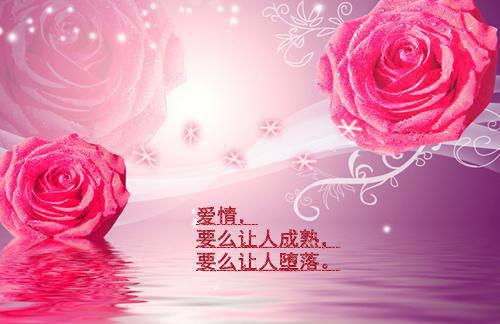 秦奕川林静婉全文免费阅读无弹窗大结局_（林静婉秦奕川小说）秦奕川林静婉最新章节列表笔趣阁（林静婉秦奕川）
