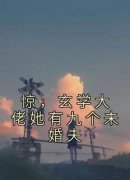 陆灵溪顾沉渊全集小说_惊，玄学大佬她有九个未婚夫完结版阅读