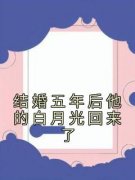 抖音爆款结婚五年后他的白月光回来了小说免费阅读