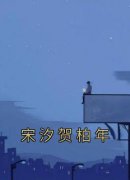 宋汐贺柏年（全本）宋汐贺柏年完整章节列表免费阅读