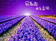 江媛顾芸杨草（江媛顾芸杨草）全文免费阅读无弹窗大结局_江媛顾芸杨草最新