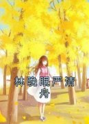 林晚眠严清舟精彩小说-林晚眠严清舟目录阅读