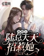 完整版《离婚后陆总天天招惹她》宋知夏陆瑾年小说免费在线阅读