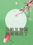小说王妃又带崽爬墙跑路了主角为唐云瑾夜宸寒免费阅读
