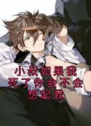 许瑶初季晏礼小说哪里可以看 小说《小叔如果我死了你会不会想起我》全文免