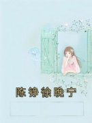 陈铮徐晚宁知乎后续免费试读
