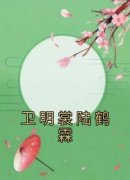 抖音卫明裳陆鹤霖小说叫什么名字