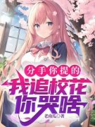 分手你提的，我追校花你哭啥(老南瓜)最佳创作小说全文在线阅读