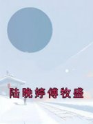 陆晚婷傅牧盛知乎后续免费试读