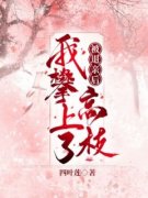 退婚后大佬宠上天小说(完结)-沈清宁洛云斓章节阅读