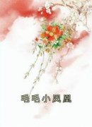 佚名写的小说毛毛小凤凰在线阅读