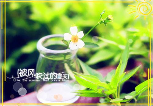 单恋失态知乎小说(陆以宁陈嘉树)全文免费阅读无弹窗大结局_(单恋失态知乎小说免费阅读)最新章节列表_笔趣阁（单恋失态知乎）