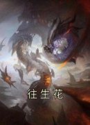 主角是蒋沐阖牧浅茉的往生花抖音热门小说