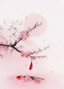 主人公夜景寒顾初暖在线免费试读《穿越异世战神步步紧逼》最新章节列表