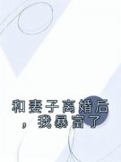 无广告小说和妻子离婚后，我暴富了-沈菀顾阳在线阅读