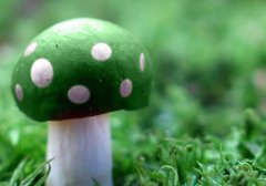超能奶爸（林宇苏语柔）全文免费阅读无弹窗大结局_（林宇苏语柔）超能奶爸