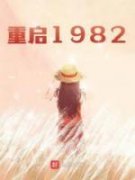 段云段芳小说<重启1982>全文在线阅读