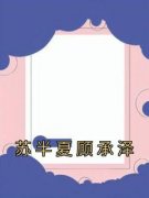 《苏半夏顾承泽苏半夏顾承泽》苏半夏顾承泽全文免费阅读【完整章节】