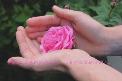 苏安染傅司寒(苏安染傅司寒)全文免费阅读无弹窗大结局_(苏安染傅司寒小说免