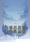 闪婚后发现老公是总裁【全章节】阮安安顾诀完结版免费阅读