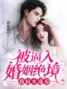 被逼入婚姻绝境，我枯木逢春(全章节)-秦书娅江岳在线阅读