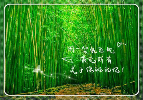 苟活秘籍知乎（苟活秘籍知乎）全文免费阅读无弹窗大结局_（傅北辰齐怡）傅北辰齐怡最新章节列表_笔趣阁（傅北辰齐怡）