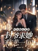 (热推新书)《叶小姐心太狠，封爷求她慈悲一回》叶星语封薄言无弹窗阅读