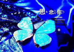 贺乾渊林枕棠（贺乾渊林枕棠小说）全文免费阅读无弹窗大结局_（贺乾渊林枕