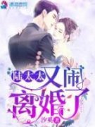 陆太太又闹离婚了by姜久陆谨行在线阅读