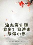 渣夫算计要我命？我转身嫁他小叔全文目录-顾晚枝宋闻峥小说无弹窗阅读