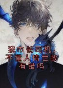 抖音爆款我市长司机，不懂人情世故有错吗小说免费阅读