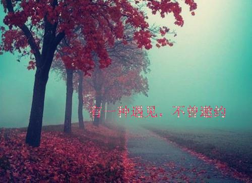 沉沦七月（齐悦贺修远）全本完整版免费阅读_（沉沦七月）齐悦贺修远全文章节目录_笔趣阁（沉沦七月）