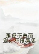 《那便不告而别，不用再见》小说免费阅读 江云苓穆启淮大结局完整版