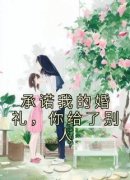 《承诺我的婚礼，你给了别人》(佚名小说)小说最新章节