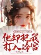 作者一夜不停写的我助他登上帝位，他却把我打入冷宫小说大结局全章节阅读