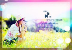 江濛向衡（刁蛮校园绿茶）免费阅读大结局_江濛向衡全文免费阅读大结局_笔趣