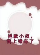 抖音抱歉小叔，我上错车了小说章节阅读