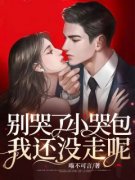 别哭了小哭包，我还没走呢唐绾绾陆鸣大结局在线阅读