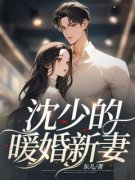沈少的暖婚新妻免费阅读全文，主角夏初沈寒川小说