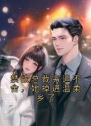 私藏读物《禁欲总裁穷追不舍，她掉进温柔乡了》墨柔傅景珩完结版免费阅读