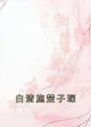 白清施楚子琛小说《白清施楚子琛》免费阅读