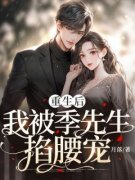 《重生后，我被季先生掐腰宠》小说好看吗 宋宁季淮最后结局如何