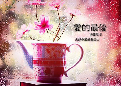 陆琛林安然(陆琛林安然)全文免费阅读无弹窗大结局_ (陆琛林安然小说免费阅读)最新章节列表_笔趣阁（陆琛林安然）