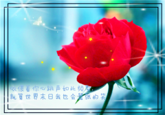 徐少礼徐晴玥（黑莲绿茶）全文免费阅读无弹窗大结局_徐少礼徐晴玥全文阅读