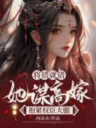 《将错就错：她谋高嫁抱紧权臣大腿》小说免费阅读 江幼凝沈庭辞大结局完整