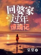 回婆家过年惊魂记小说(连载文)-何笙温舒无广告阅读